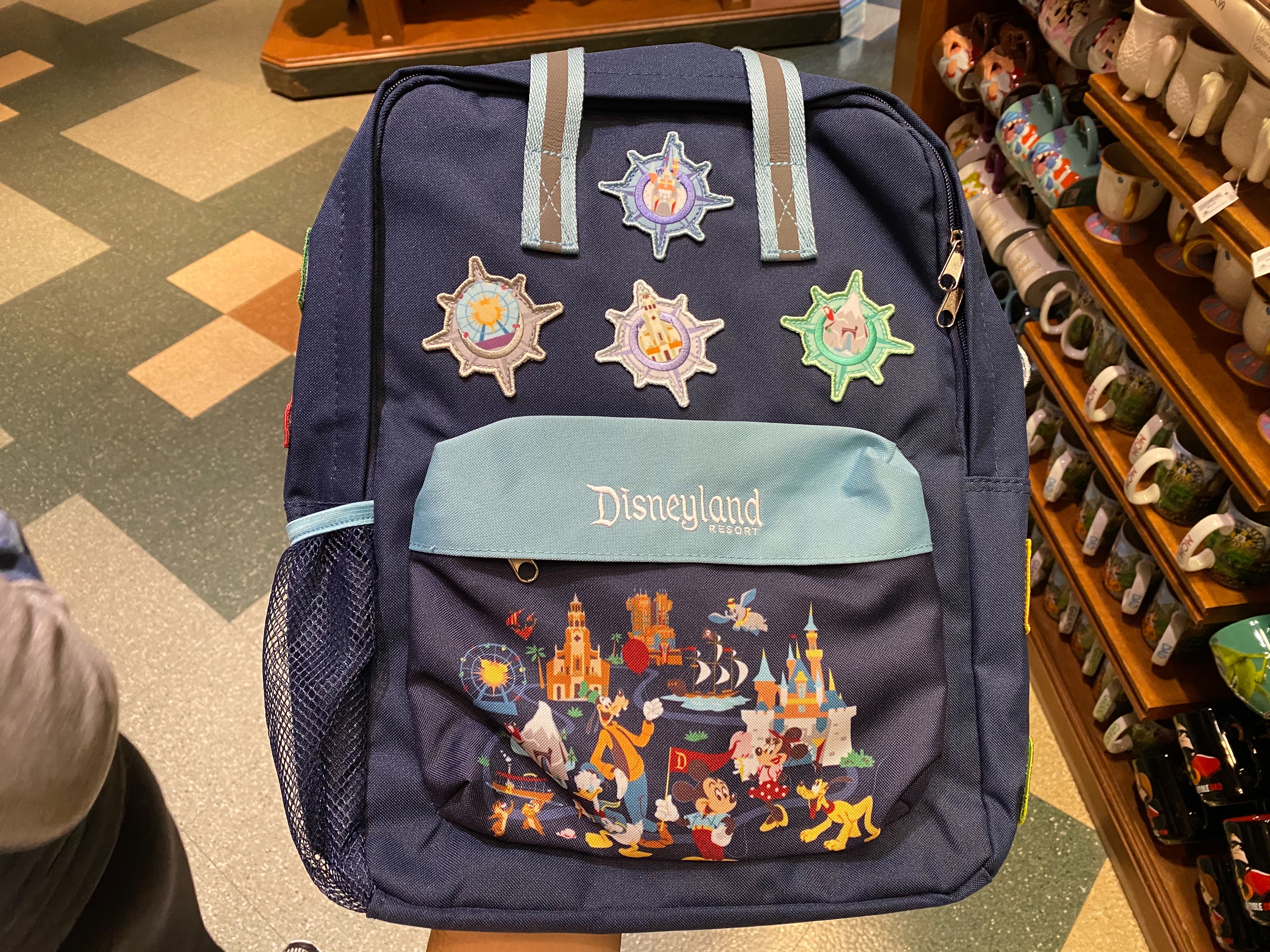 disneyland travel backpack