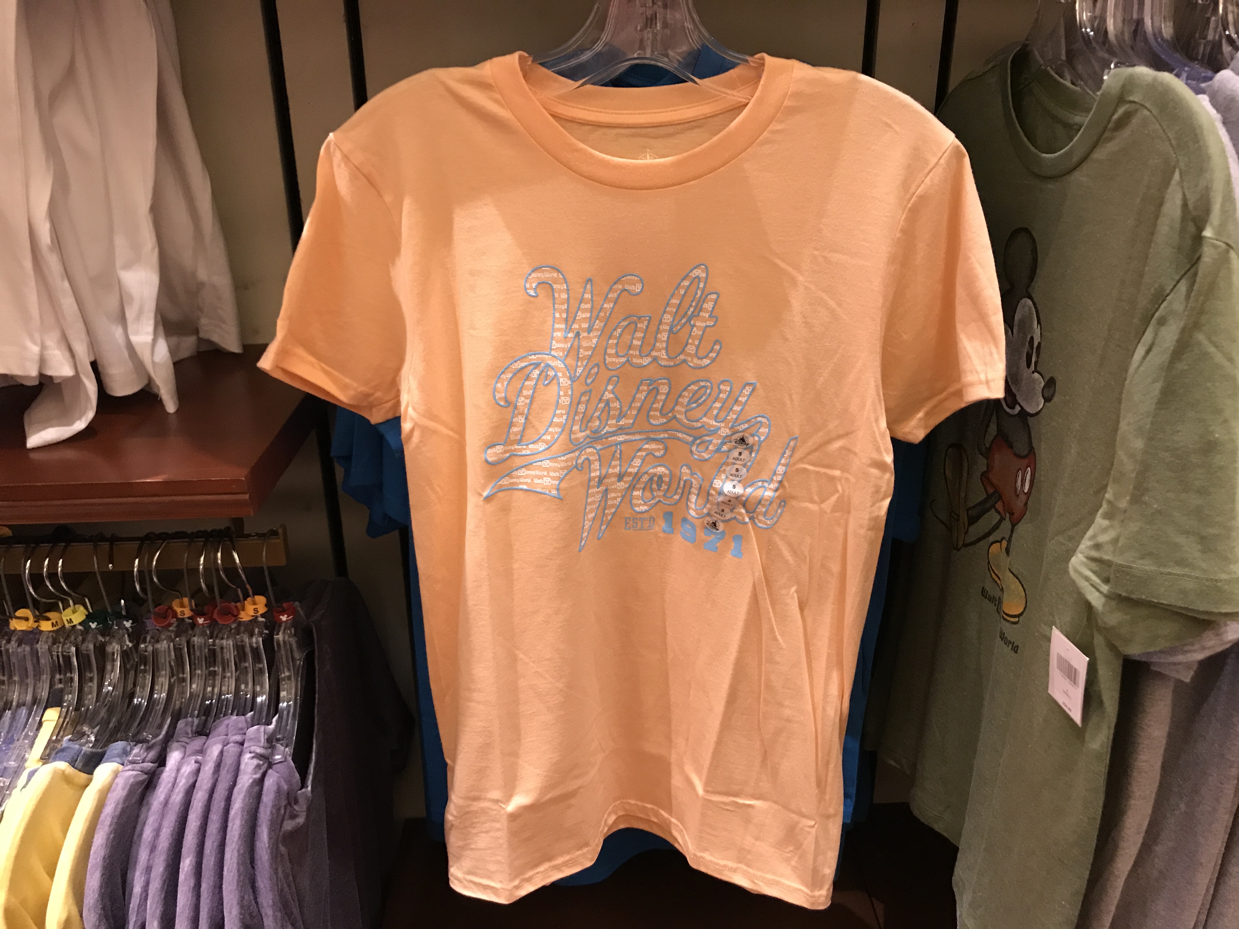 PHOTO REPORT: Magic Kingdom 1/12/20 (Park Life Dooney and Bourke Bags ...