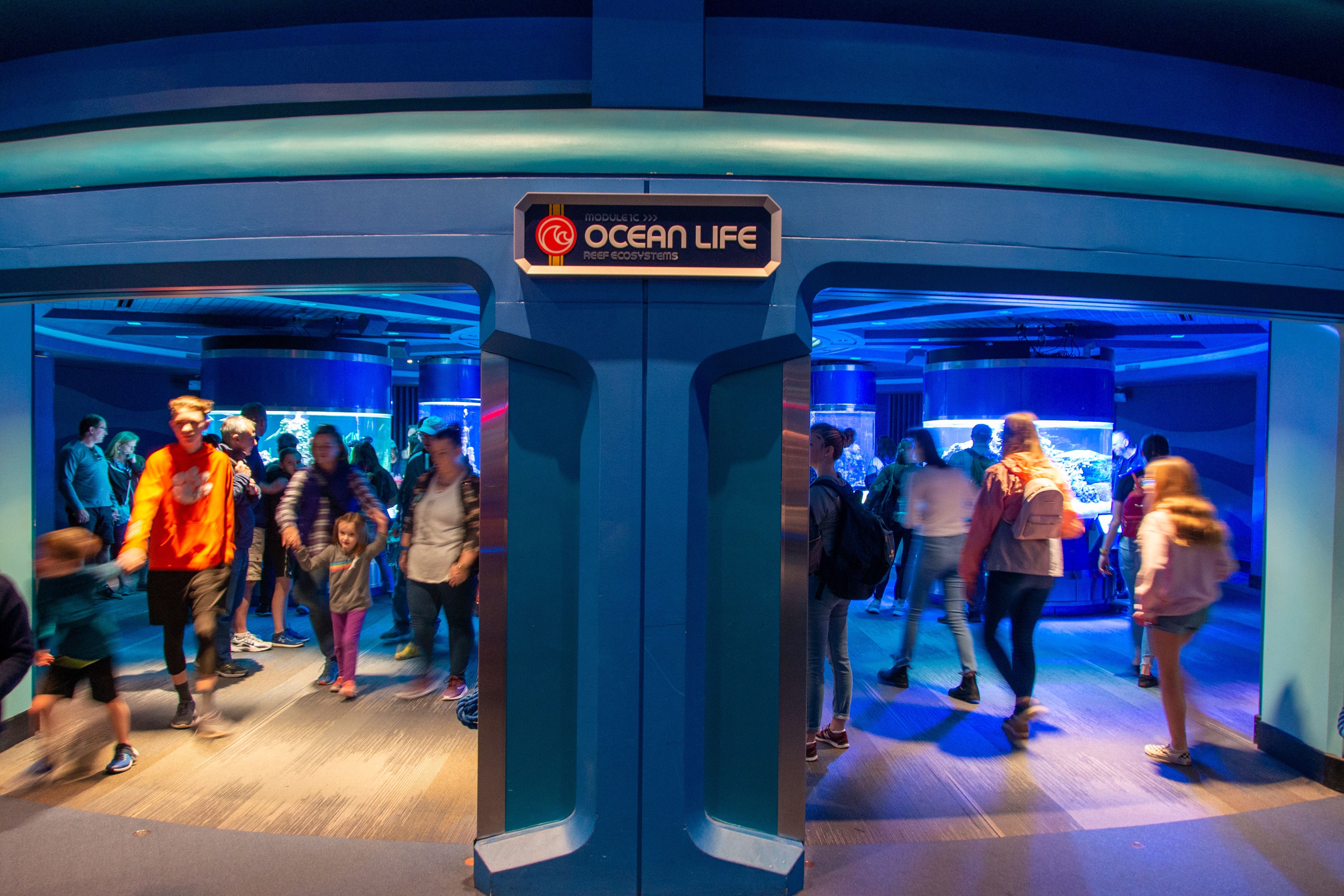 PHOTOS: New Sea Life Signage Installed Inside The Seas with Nemo ...