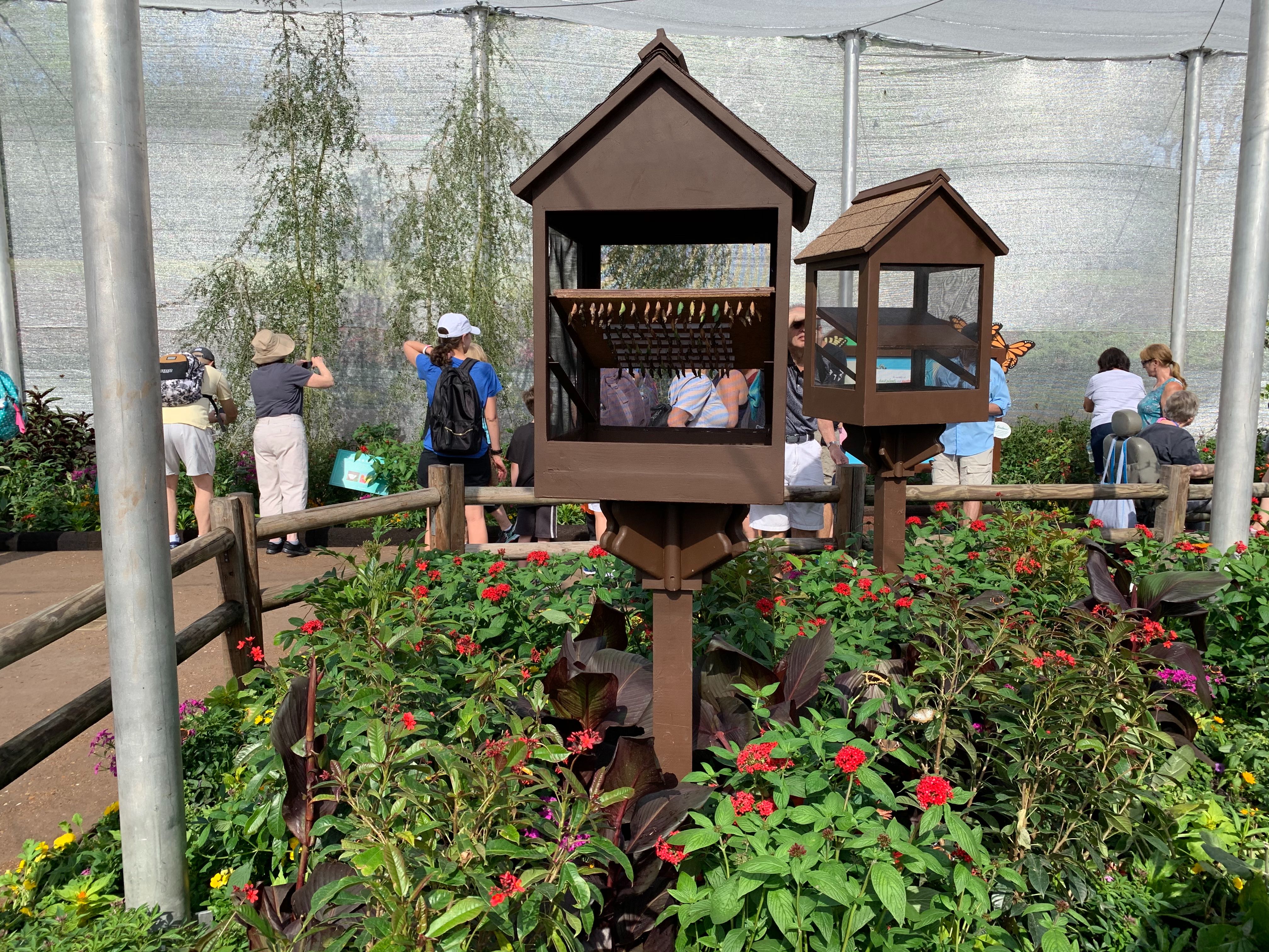 PHOTOS, VIDEO Tour The New Goodness Garden Butterfly House at the