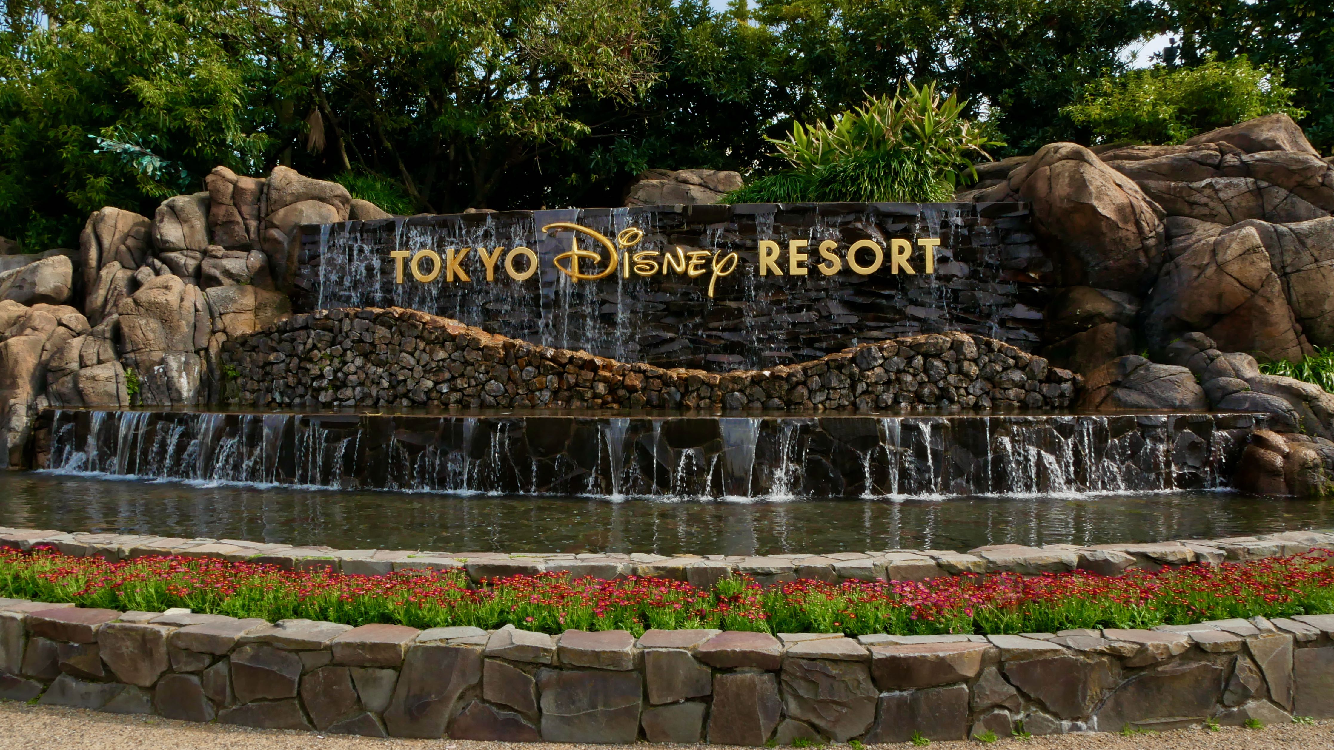 Tokyo Disney Waterfall