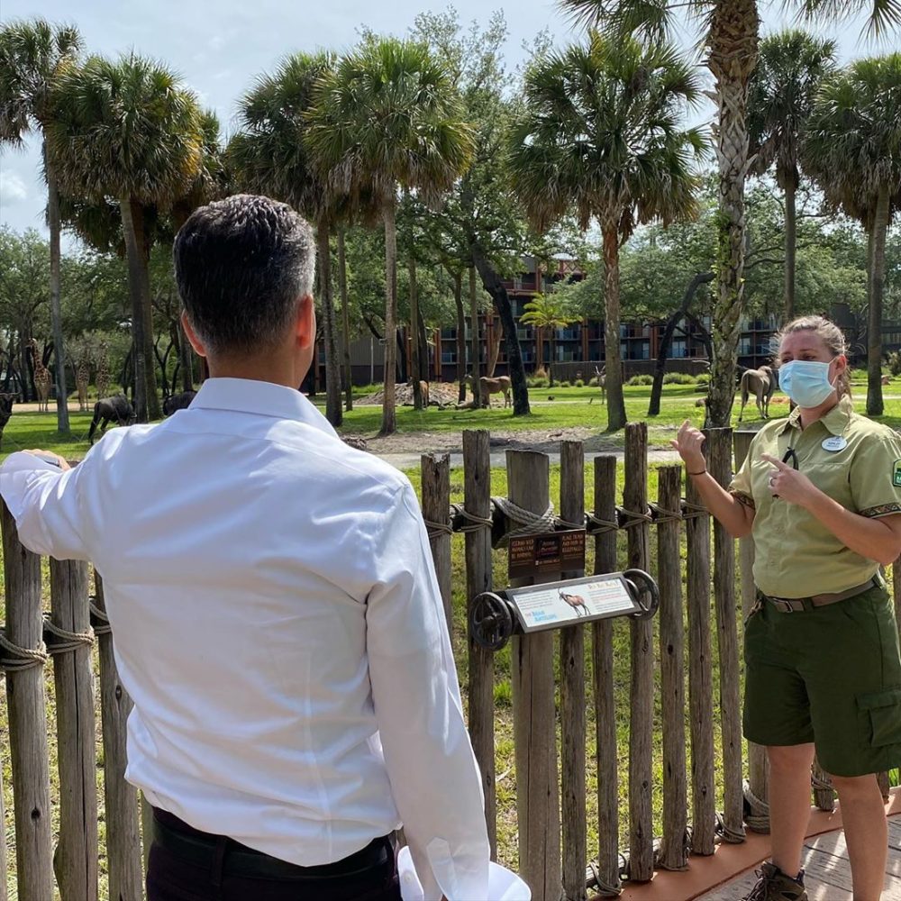 josh damaro disneys animal kingdom lodge 3