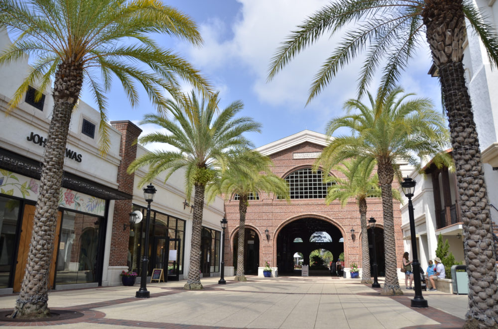 Disney Springs 5 21 20 palm trees