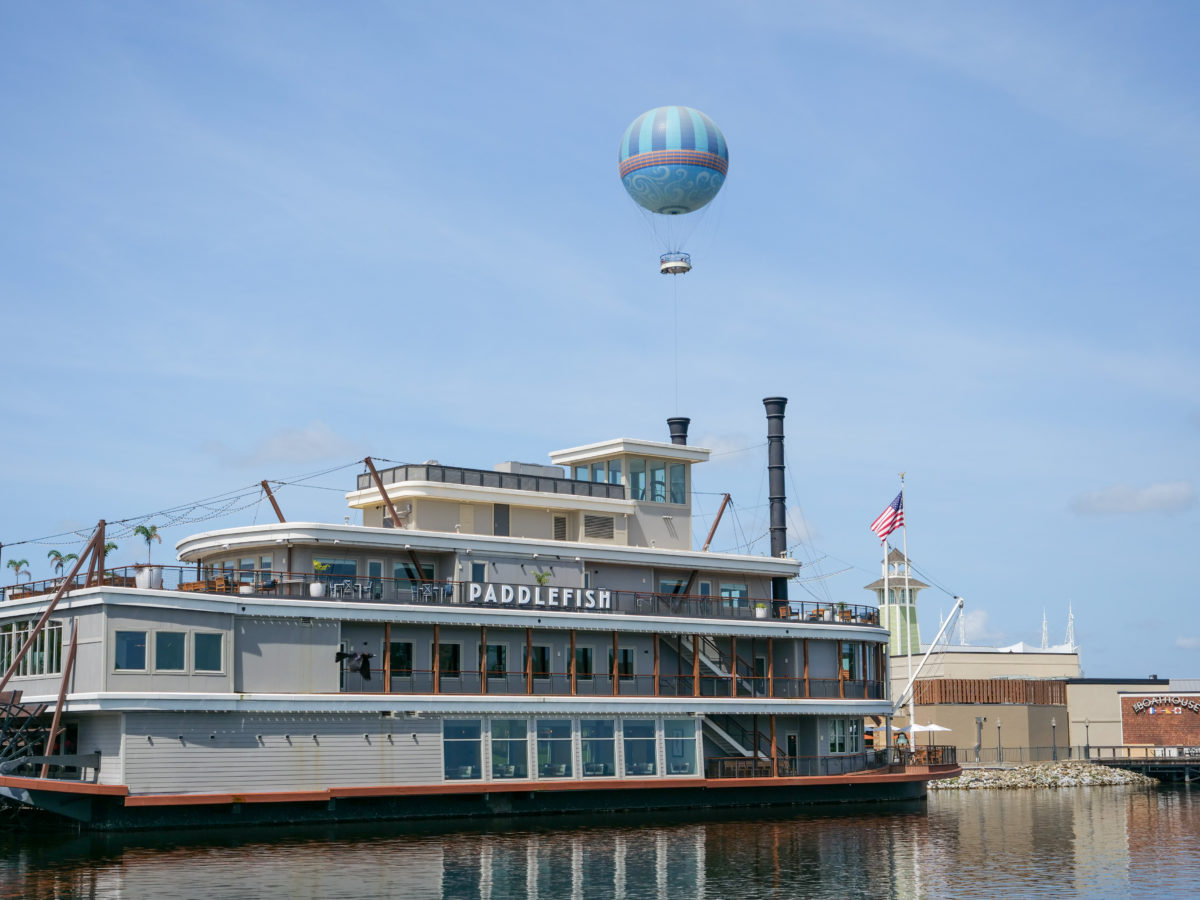 Paddlefish and Aerophile 5 31 20