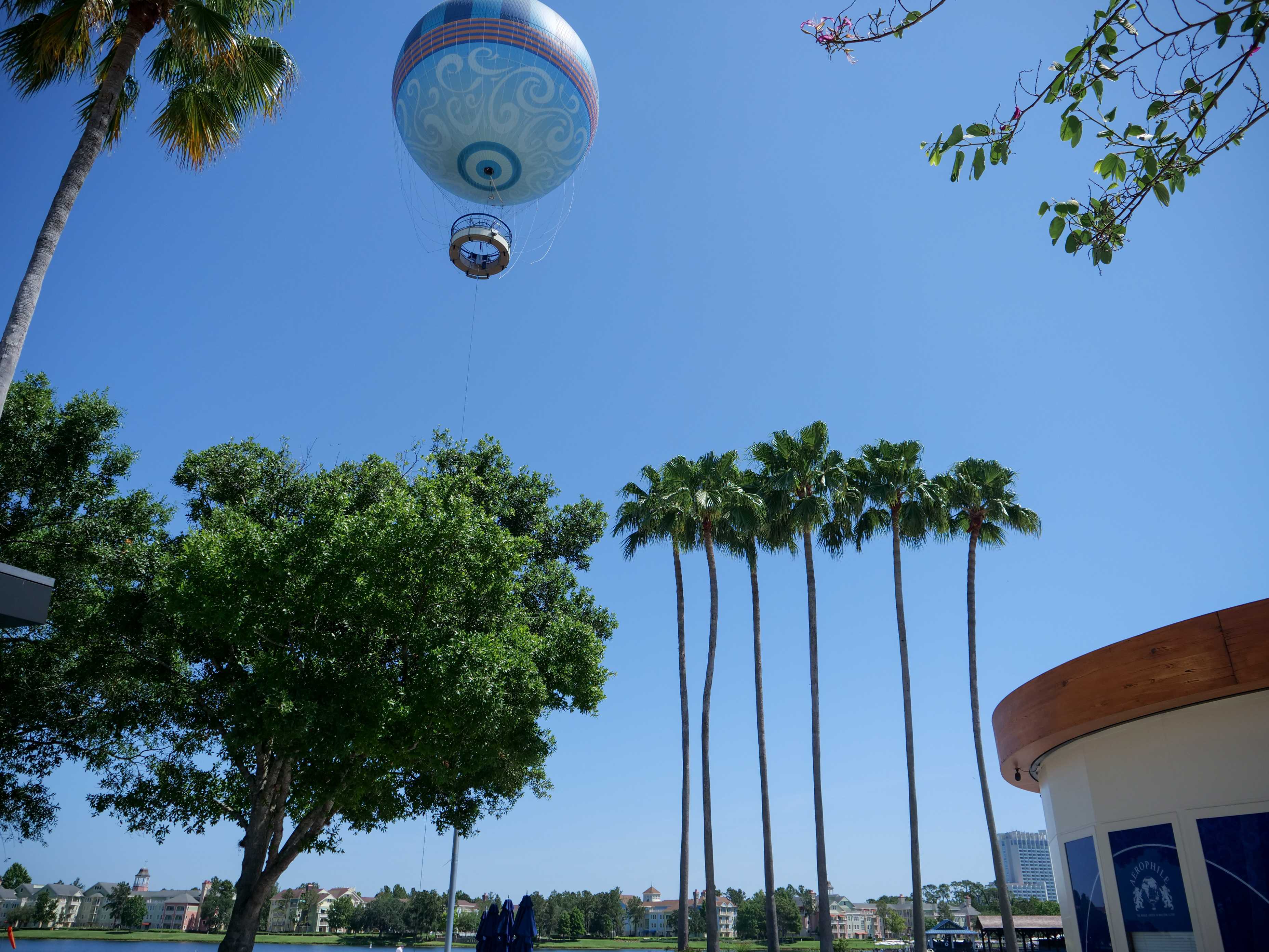 aerophile disney springs reopen may 22 6