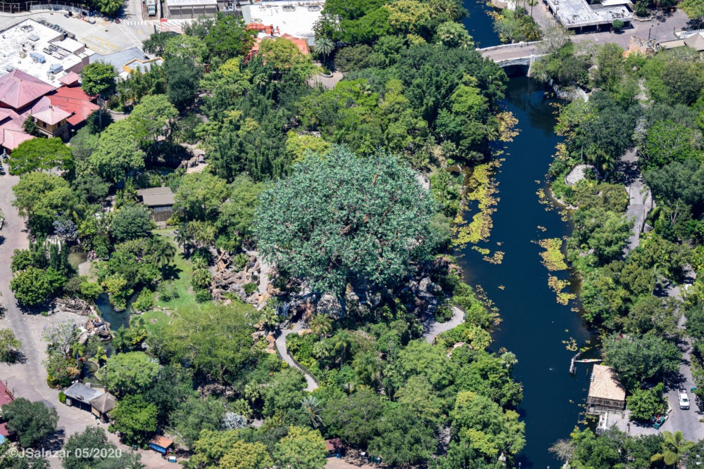 disneys animal kingdom aerial photos may 2020 jonathan michael salazar c 6