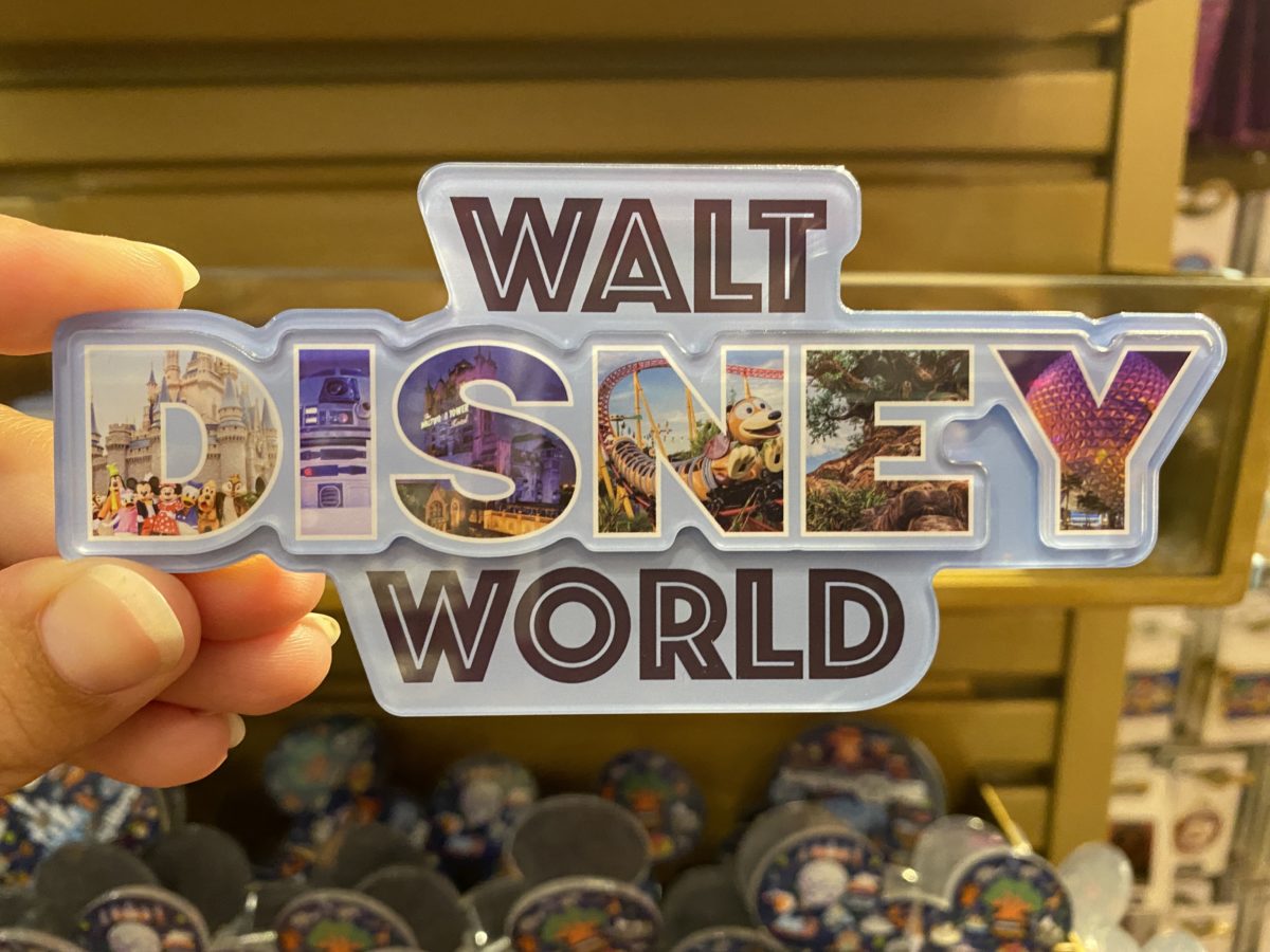 Disney park icon magnet