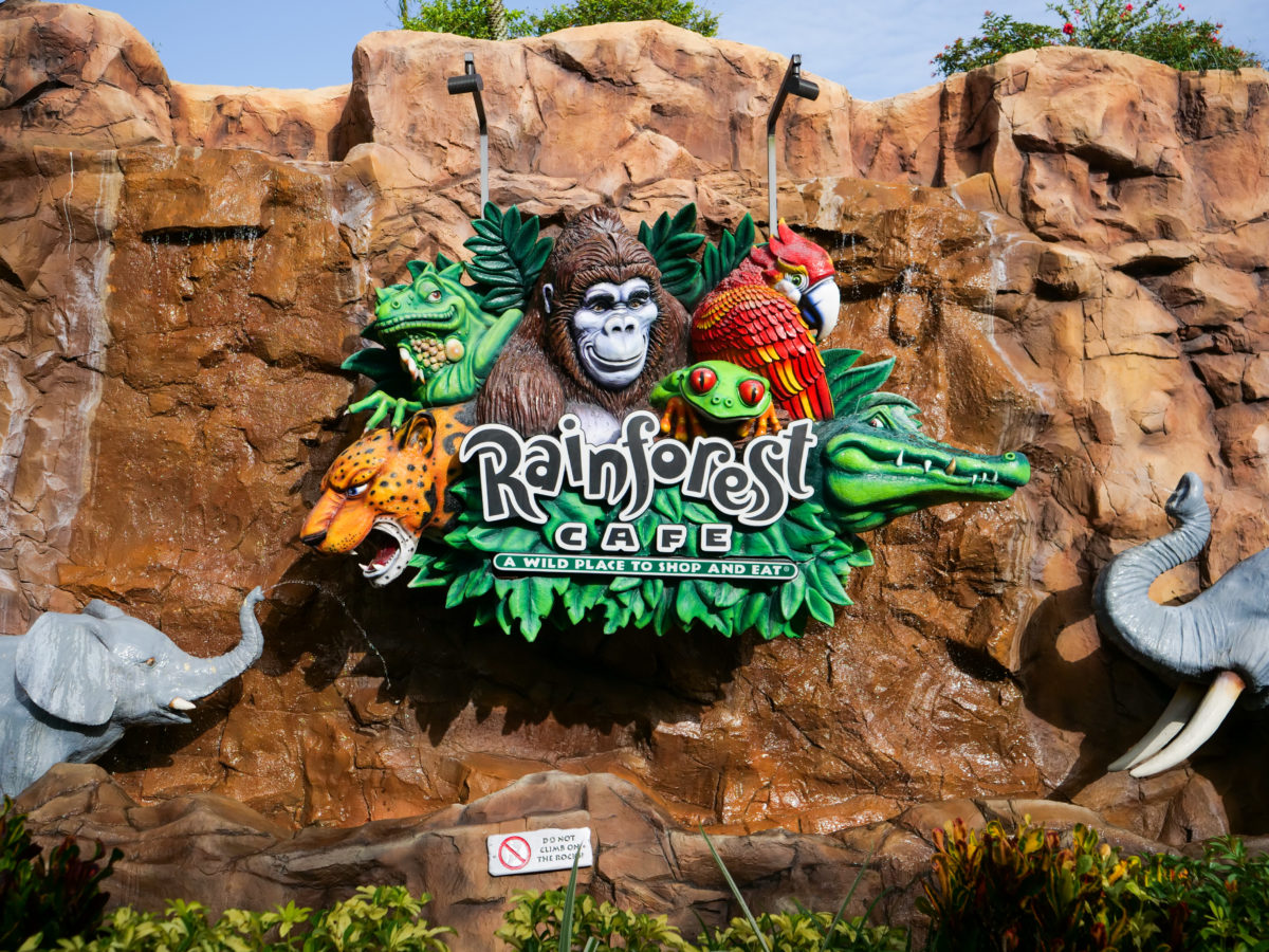 Rainforest Cafe Sign Disney Springs 6 27 20