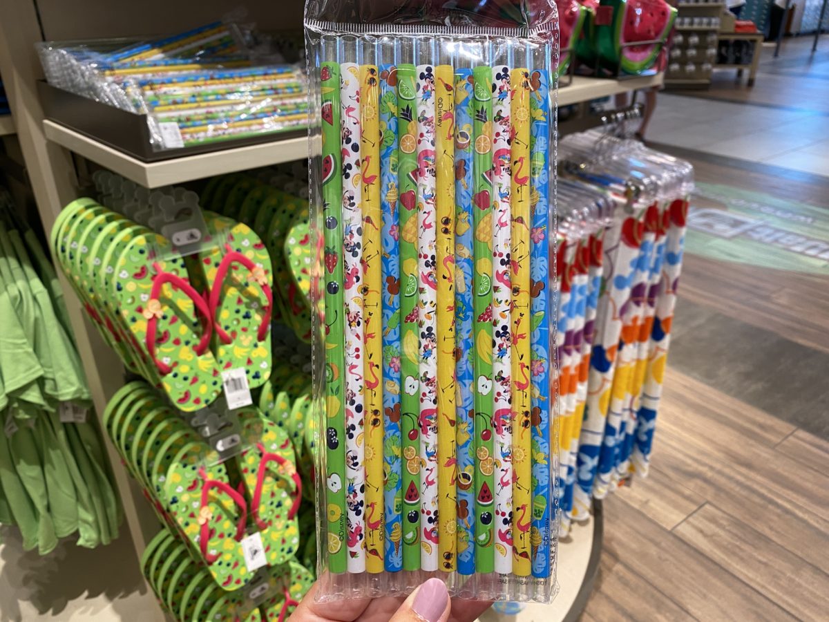 Summertime fun reusable straws world of Disney front