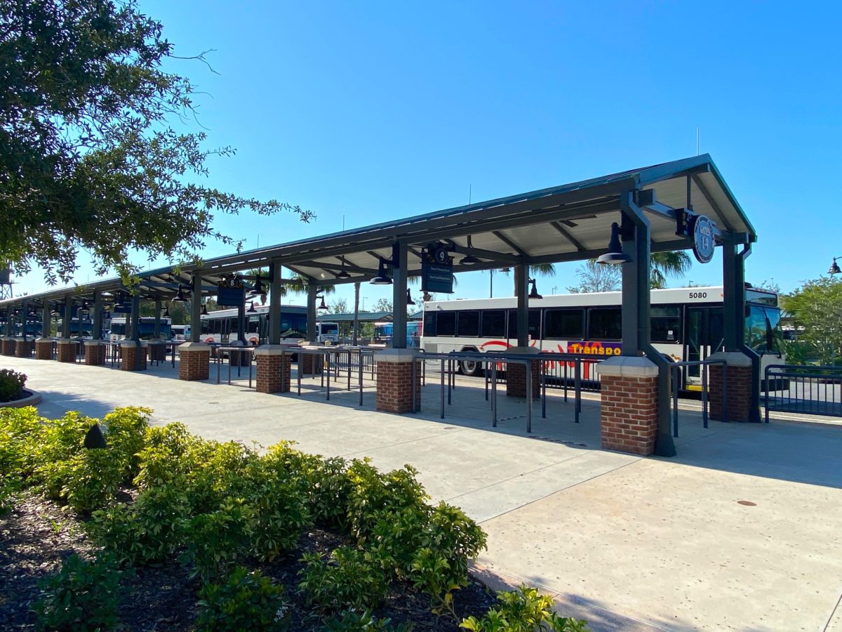 disney bus transportation reopening prep disney springs 7 1