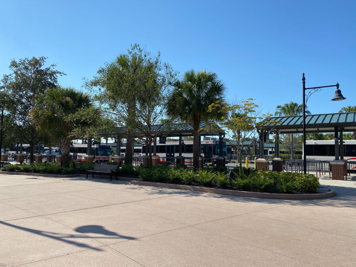 disney bus transportation reopening prep disney springs 8