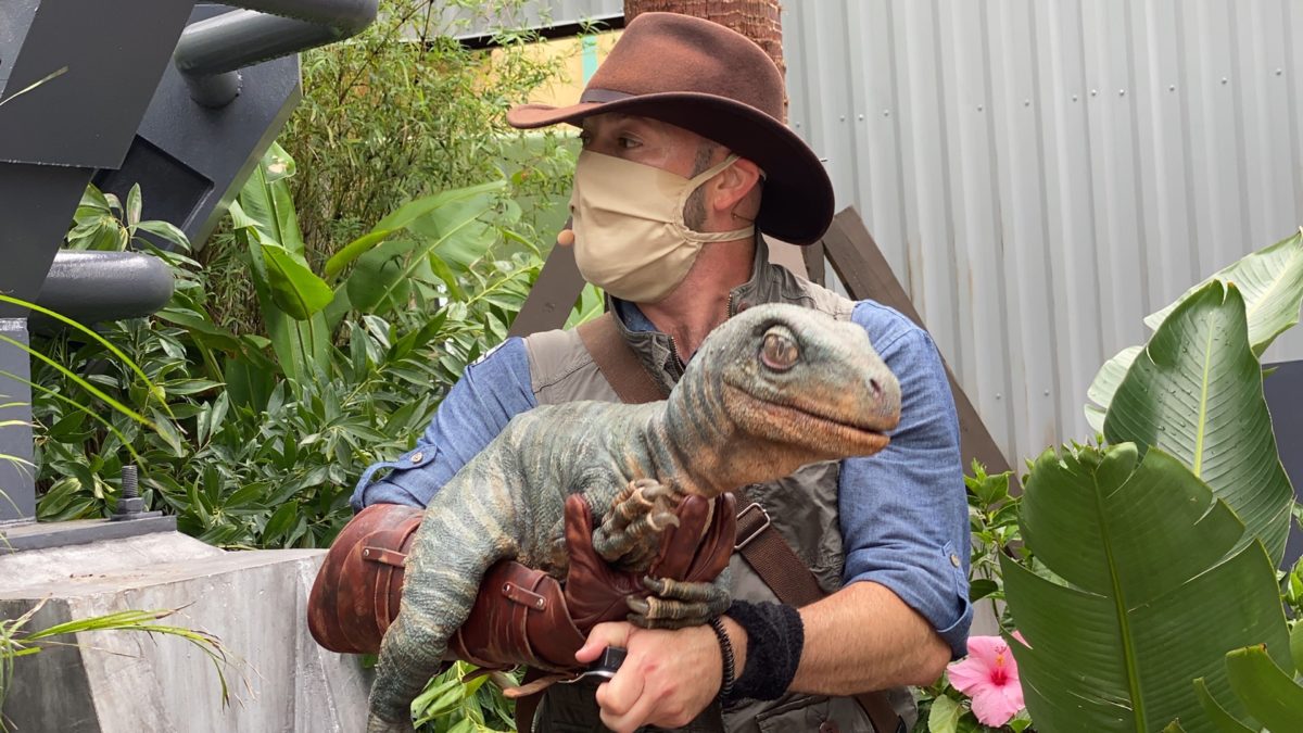 Photos Video Meet Blue And Baby Sierra At The New Jurassic World Raptor Encounter Experience In Universal S Islands Of Adventure Wdw News Today