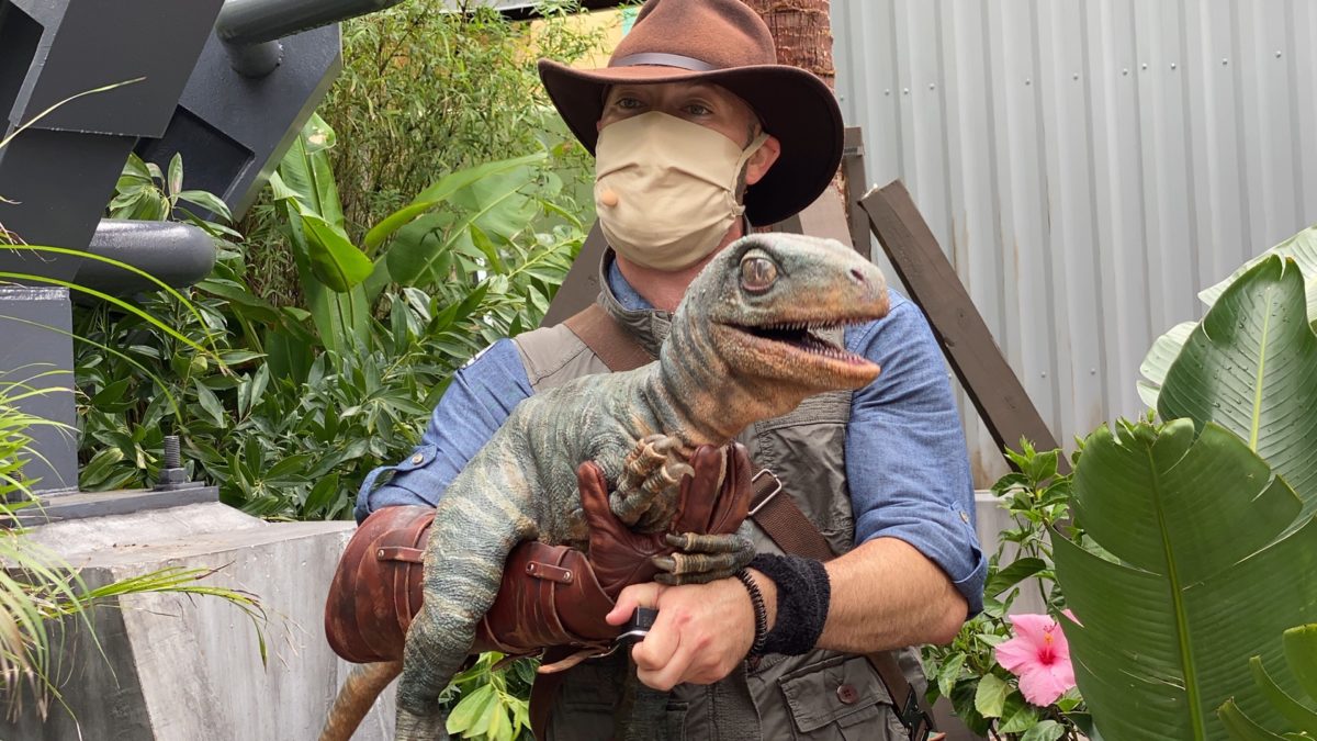 Photos Video Meet Blue And Baby Sierra At The New Jurassic World Raptor Encounter Experience In Universal S Islands Of Adventure Wdw News Today