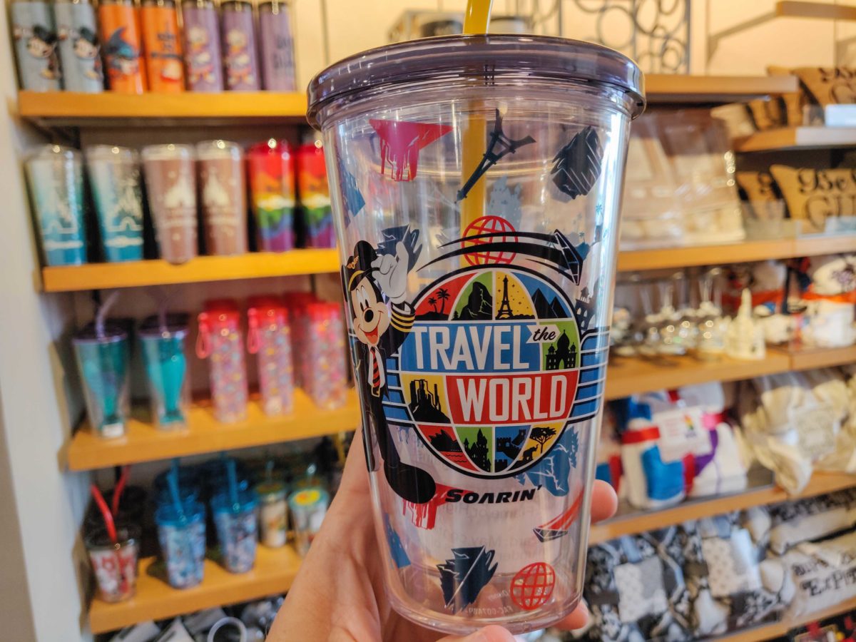 Soarin' Travel Tumbler - $19.99