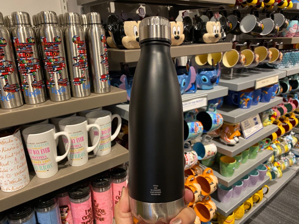 PHOTOS: Sleek New Mickey Balloon, Park Life, Tropical Minnie, and More Water  Bottle Designs Arrive at Walt Disney World - WDW News Today
