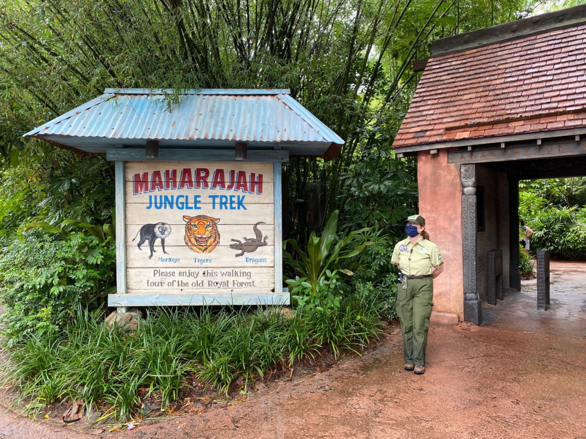 maharajah jungle trek photos