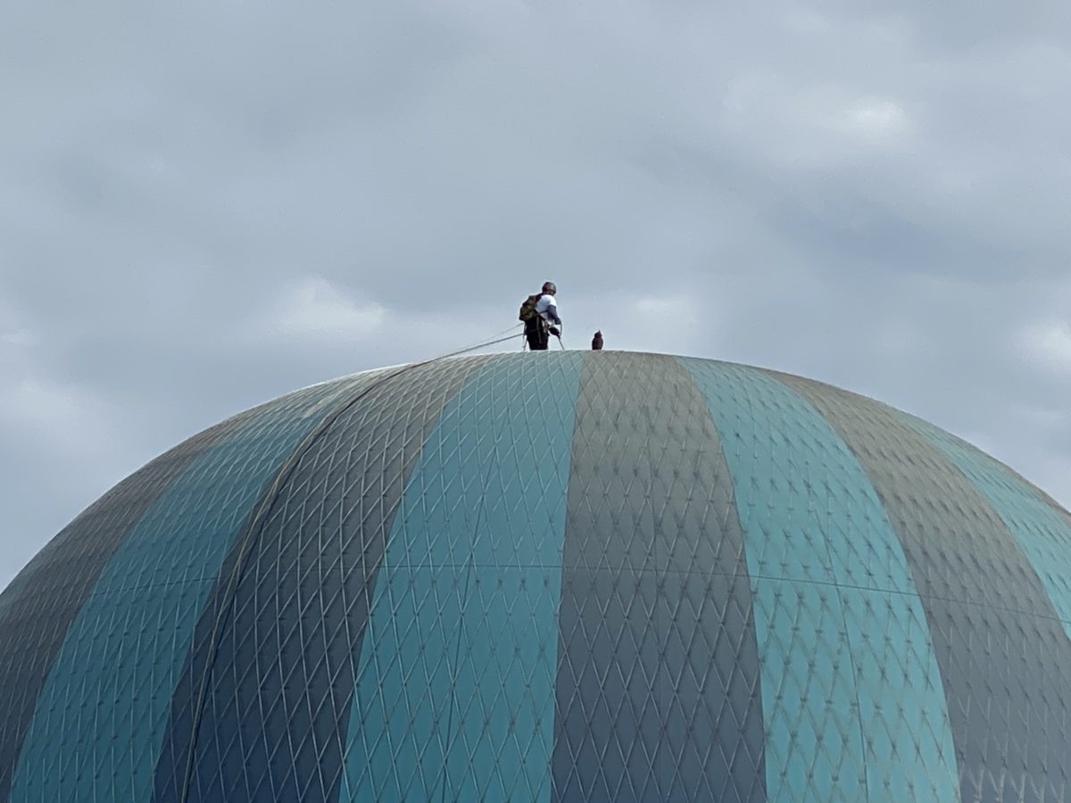 Aerophile installing owl