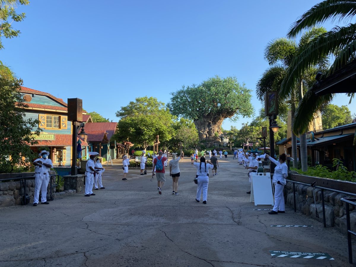 Custodial cast members cheering welcome animal kingdom 7242020