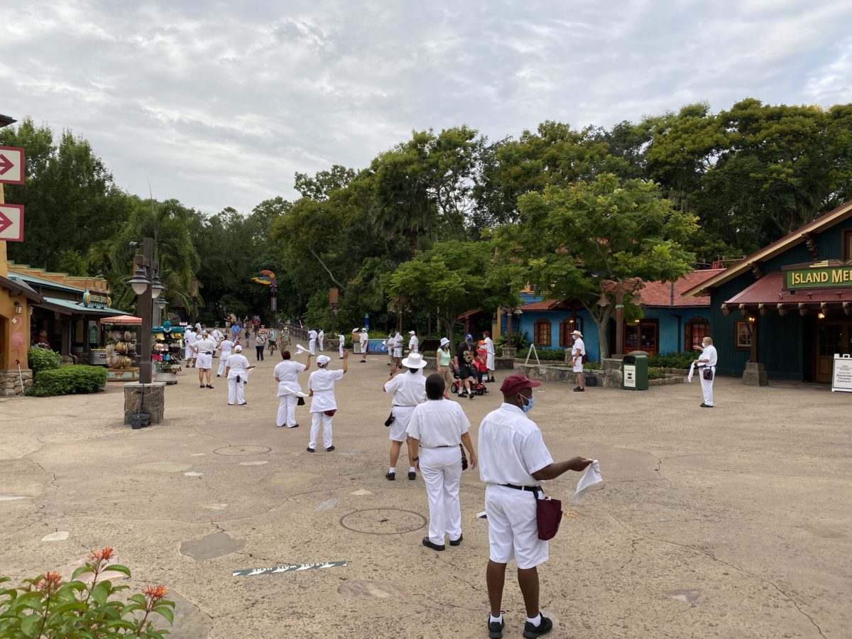 PHOTO REPORT: Disney’s Animal Kingdom 7/29/20 (Low Wait Times, Cute