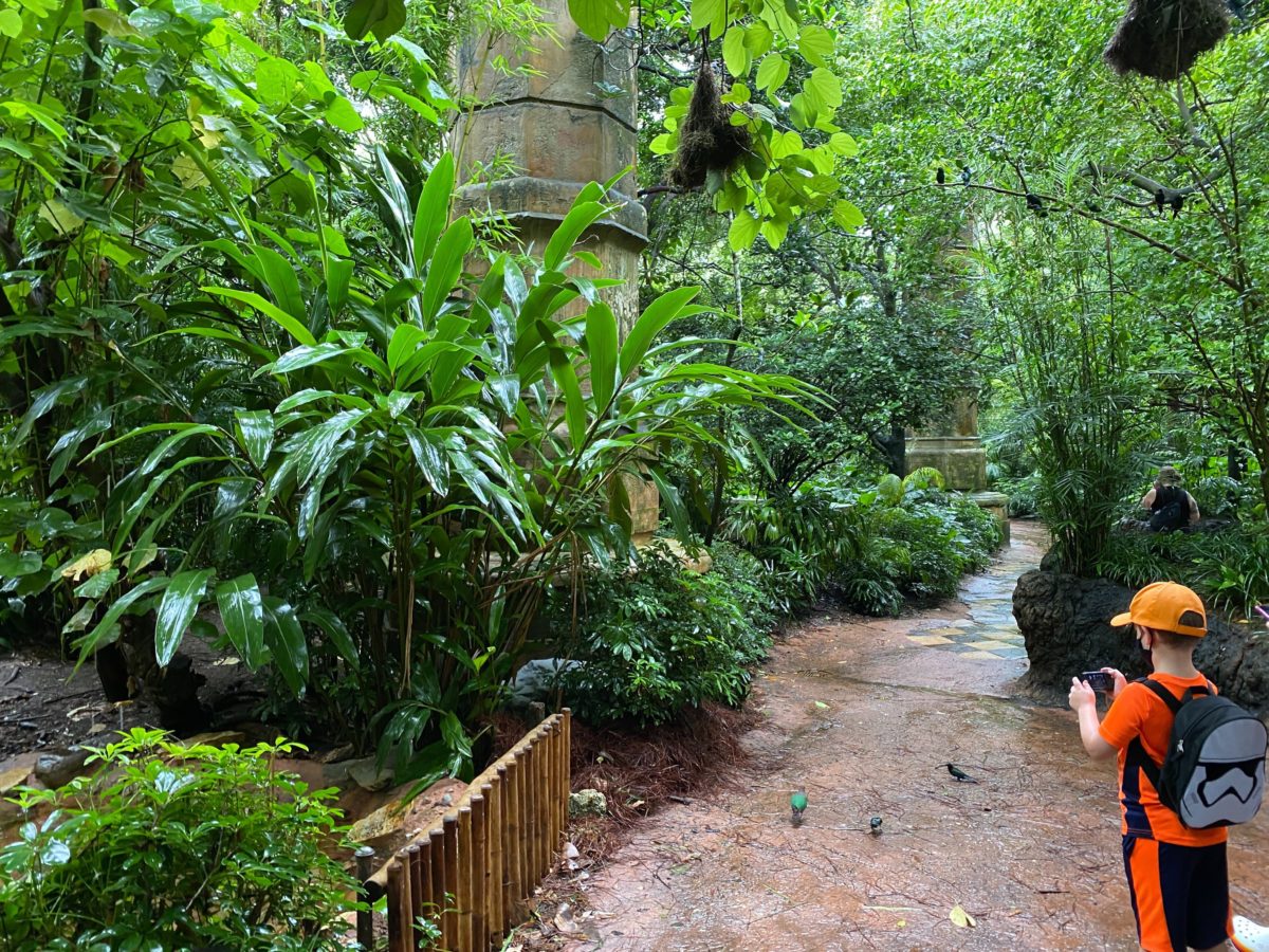 PHOTOS: Maharajah Jungle Trek at Disney’s Animal Kingdom Walk-Through