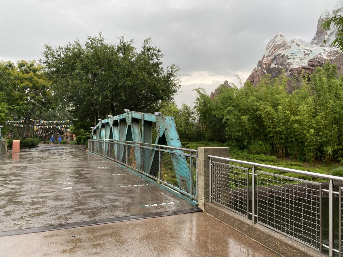 PHOTO REPORT: Disney’s Animal Kingdom 7/10/20 (Annual Passholder