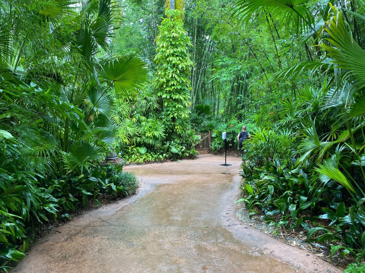 maharajah jungle trek photos