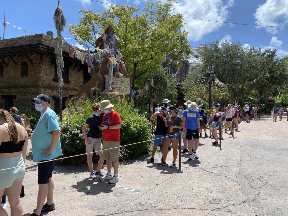 Mt Everest line cleaning animal kingdom 7242020