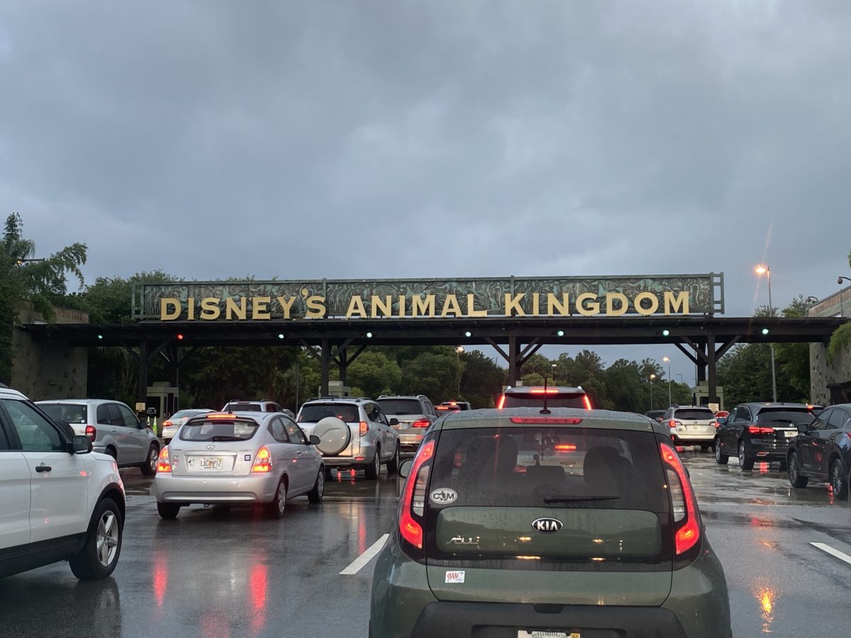 PHOTO REPORT: Disney’s Animal Kingdom 7/10/20 (Annual Passholder