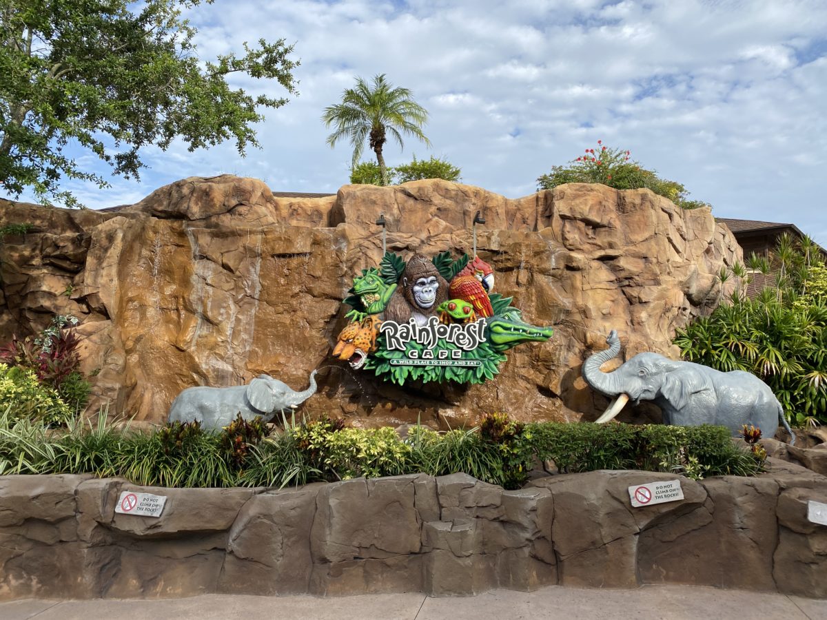 Rainforest cafe Disney springs water on sign