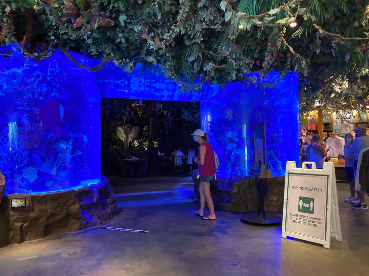 RainforestCafe DAK Reopening 12