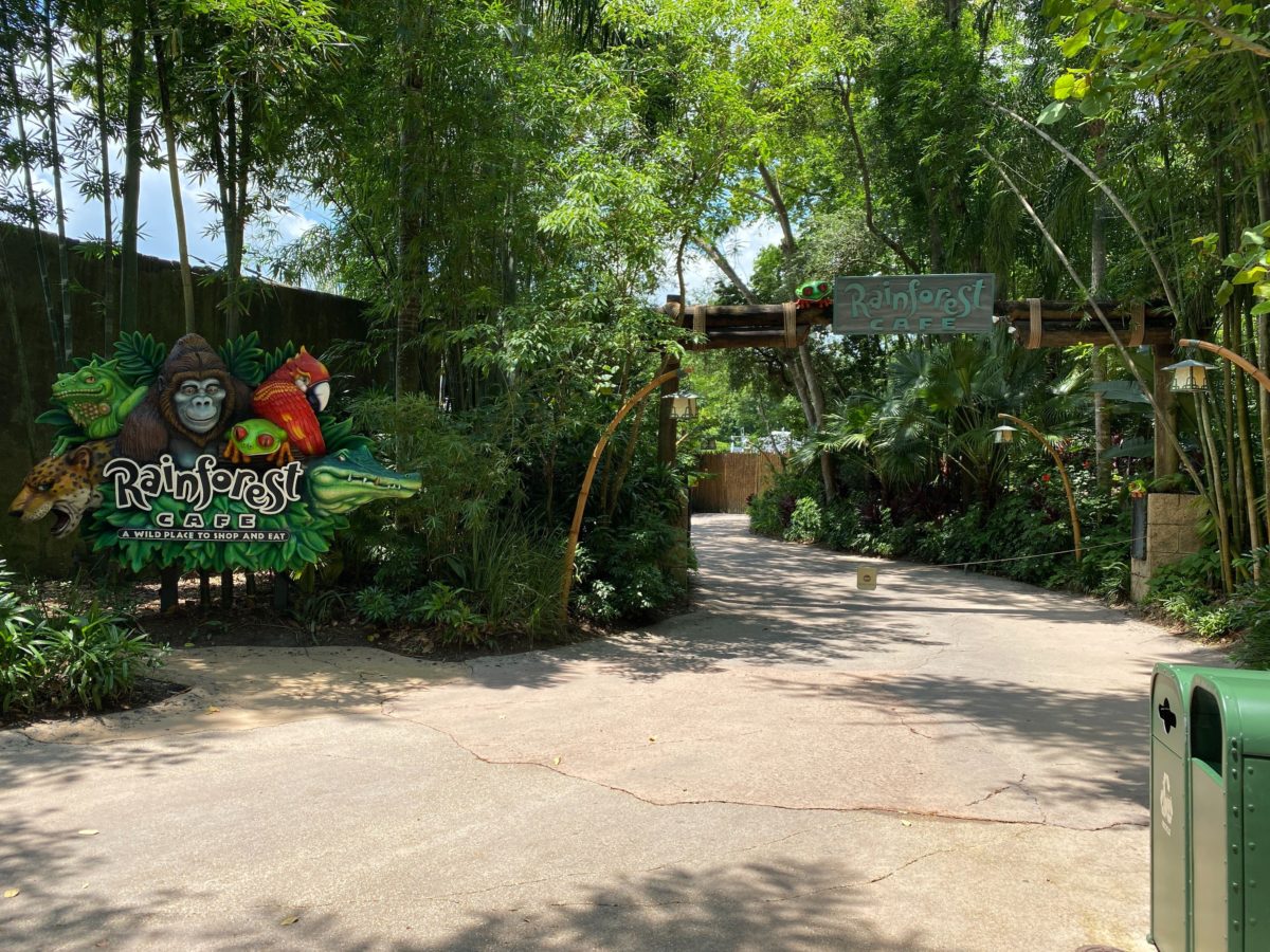 RainforestCafe DAK Reopening 5