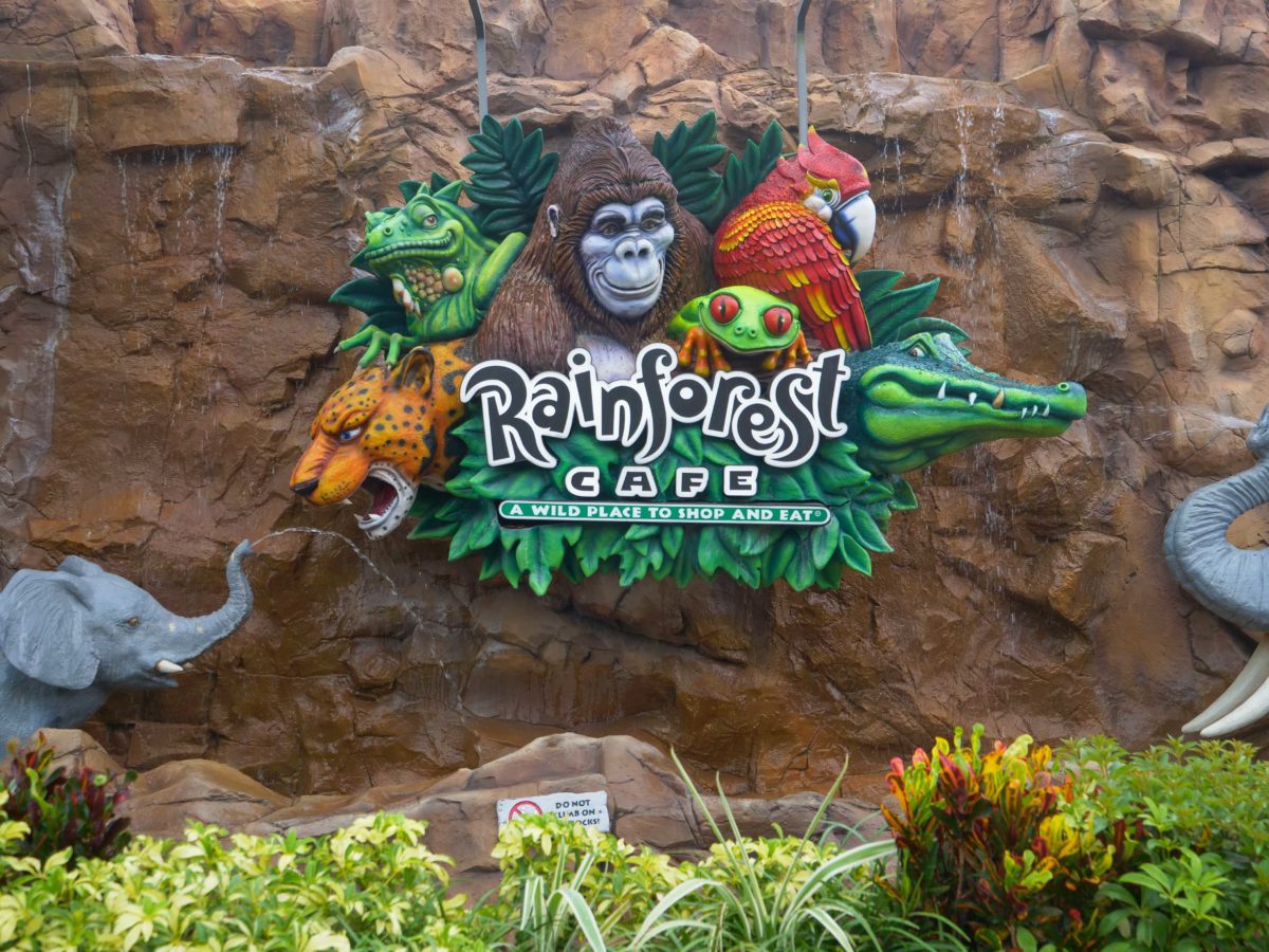 RainforestCafe DisneySprings Reopening 1