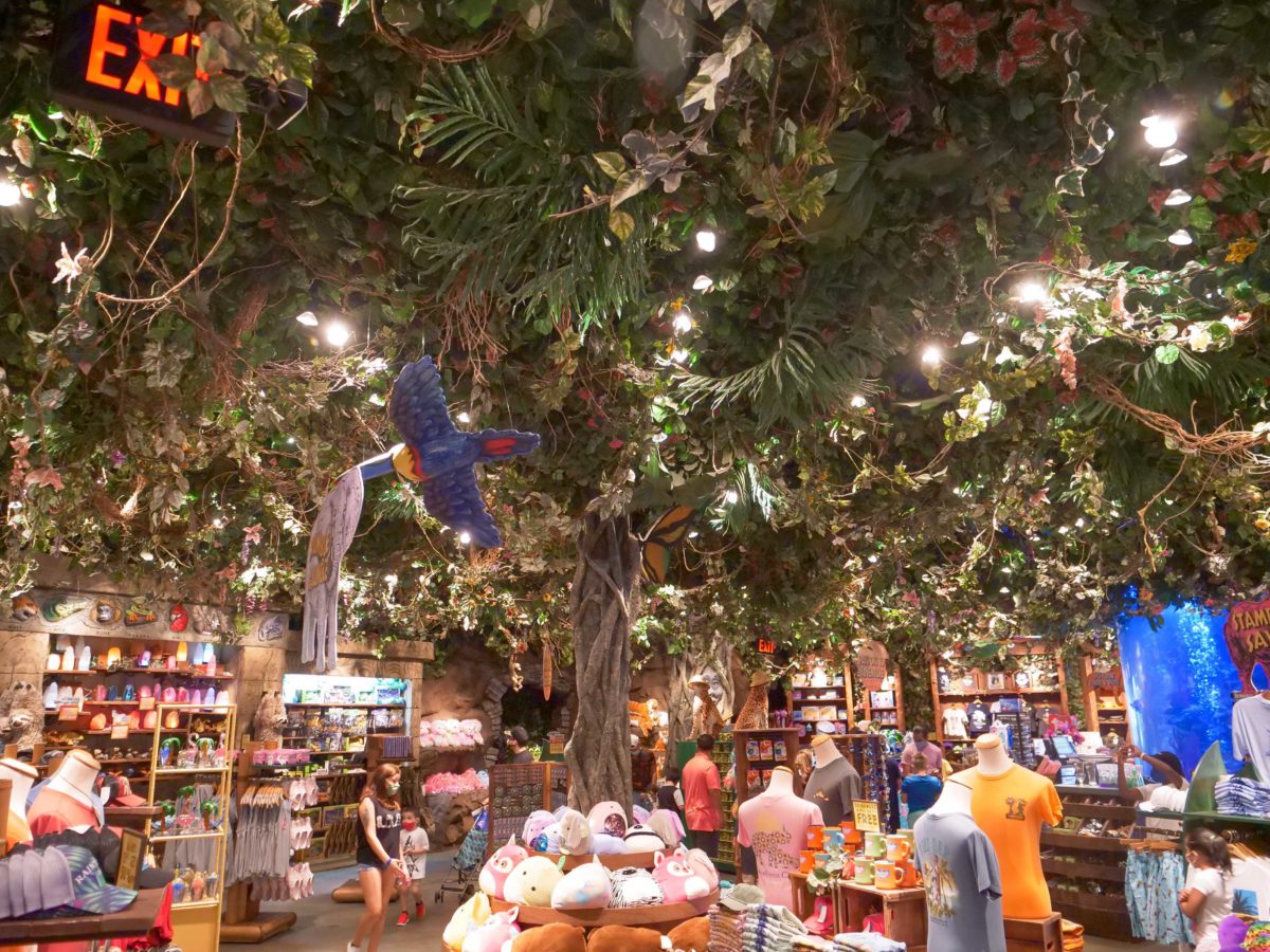 Rainforest Cafe Disney Springs Pictures - nature wallpaper