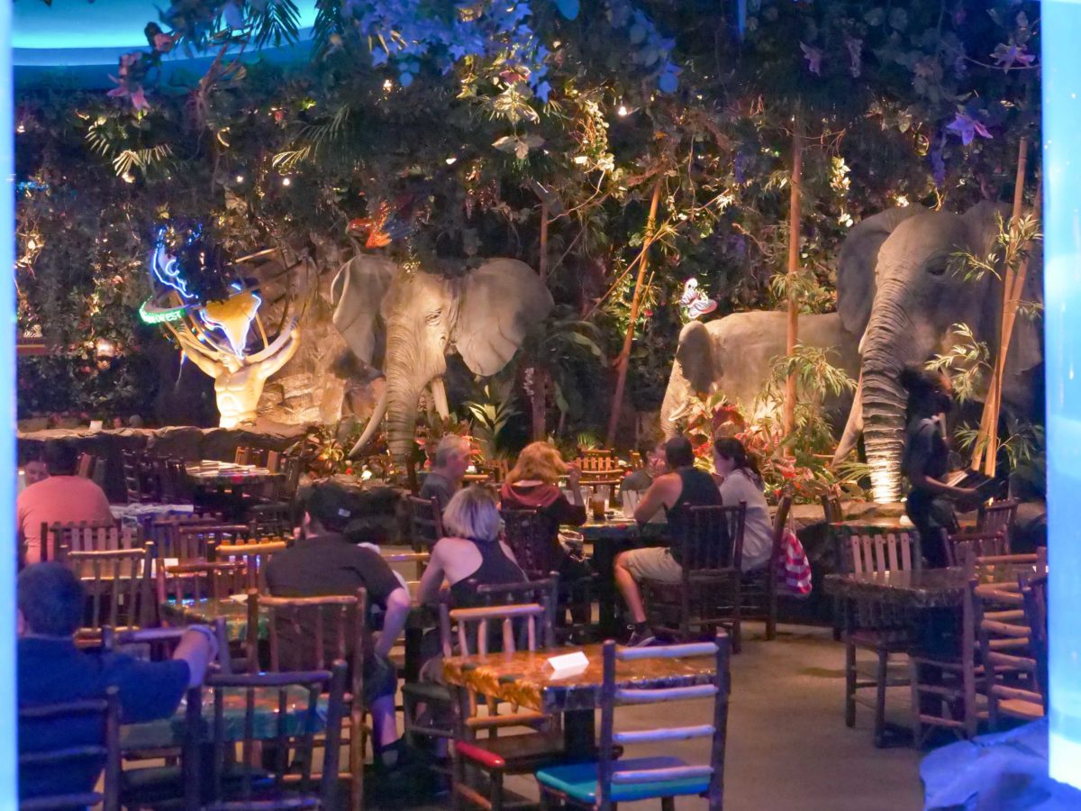 PHOTOS: Rainforest Cafe Reopens at Disney's Animal Kingdom & Disney