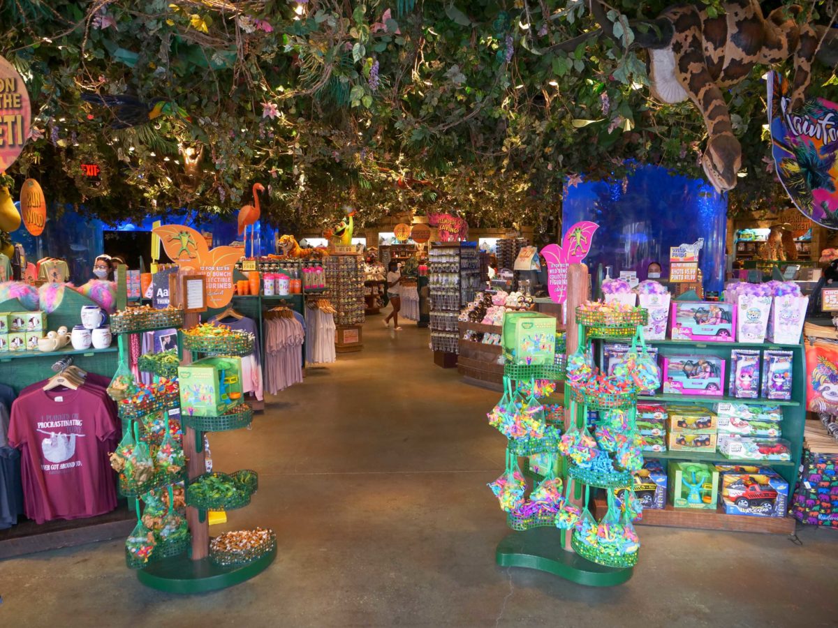 RainforestCafe DisneySprings Reopening 6