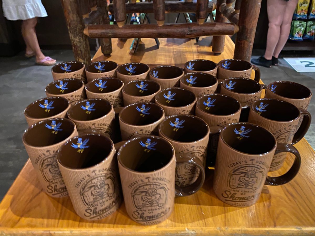 Splash Mountain Disney Coffee Mugs - Jayson's Photography