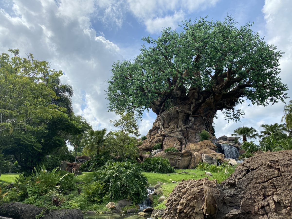 Tree of life animal kingdom passholder preview day 2