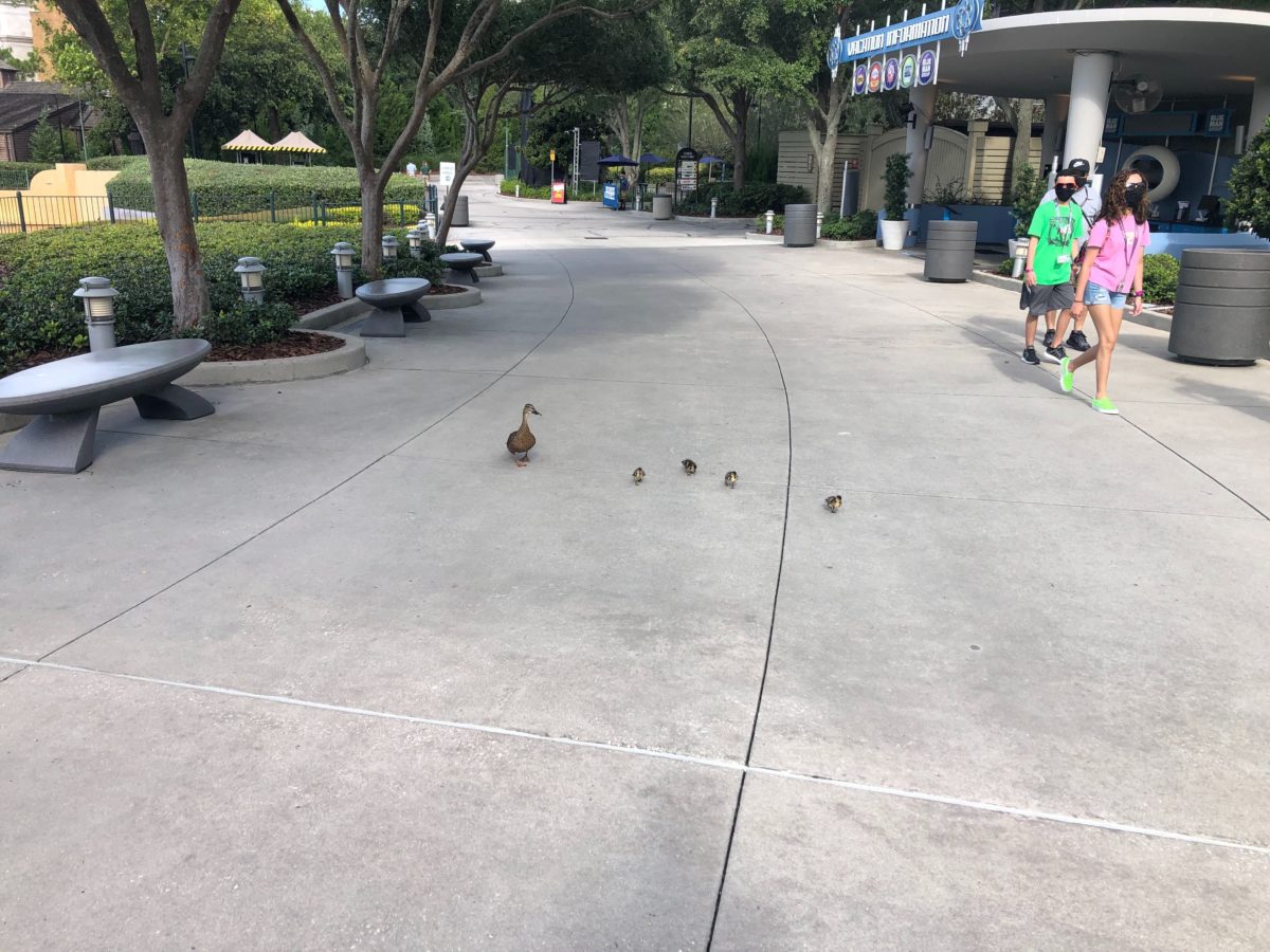 Universal Orlando Photo Report July 21 2020 26