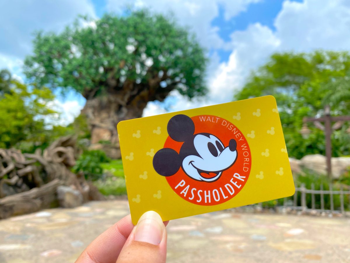 annual passholder card