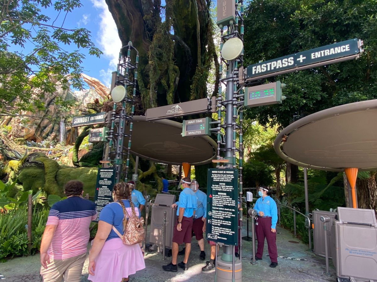 PHOTOS: Avatar Flight of Passage Soars Once More with New Safety