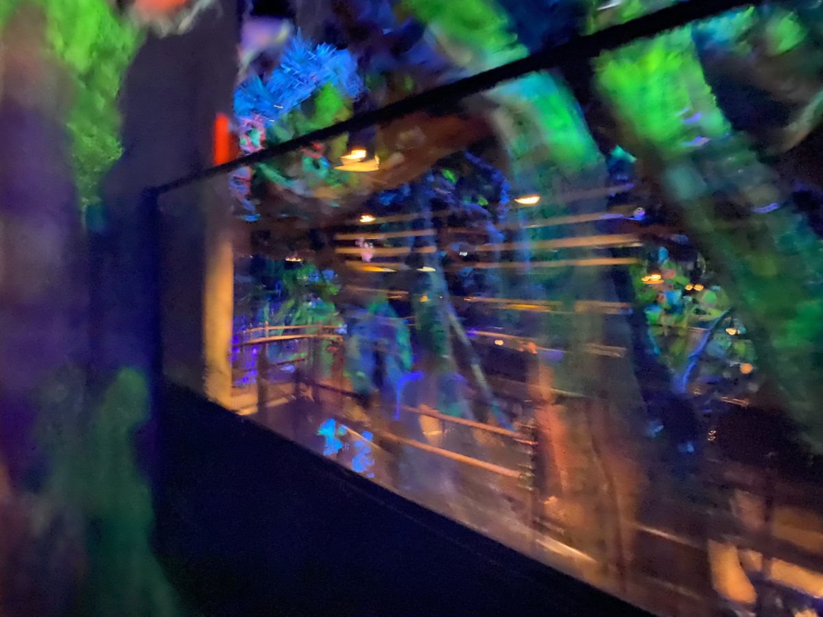 PHOTOS: Avatar Flight of Passage Soars Once More with New Safety