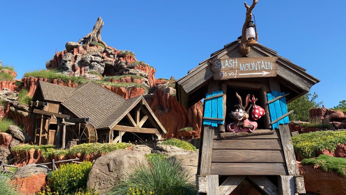 briar patch splash mountain merchandise purchases magic kingdom 7