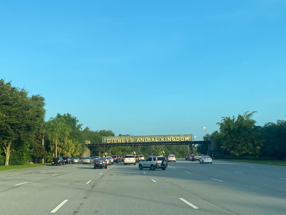 disneys animal kingdom entrance parking lot reopening annual passholder preview 1