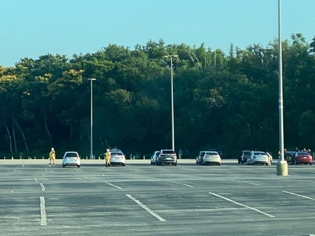 disneys animal kingdom entrance parking lot reopening annual passholder preview 12