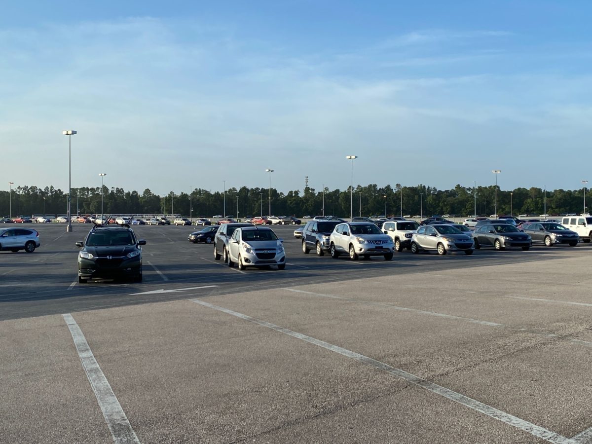 disneys animal kingdom entrance parking lot reopening annual passholder preview 14