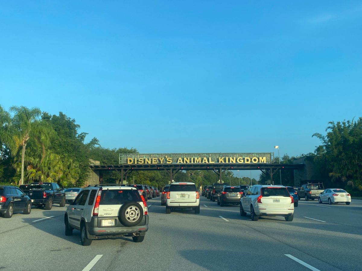 disneys animal kingdom entrance parking lot reopening annual passholder preview 2