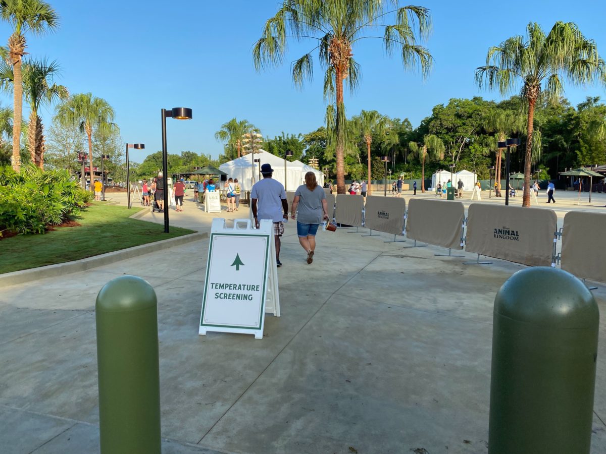 disneys animal kingdom entrance parking lot reopening annual passholder preview 22