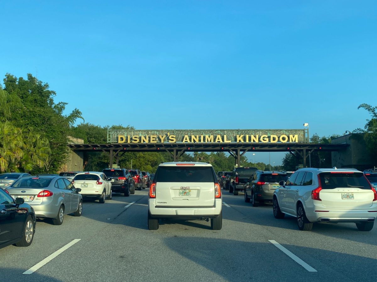 disney magic kingdom, animal kingdom parking