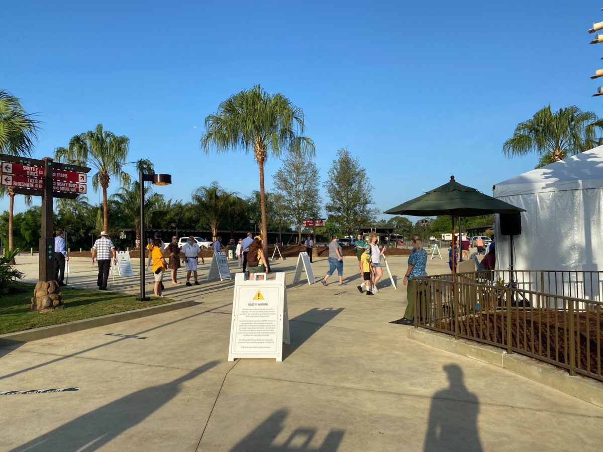 disneys animal kingdom entrance parking lot reopening annual passholder preview 30