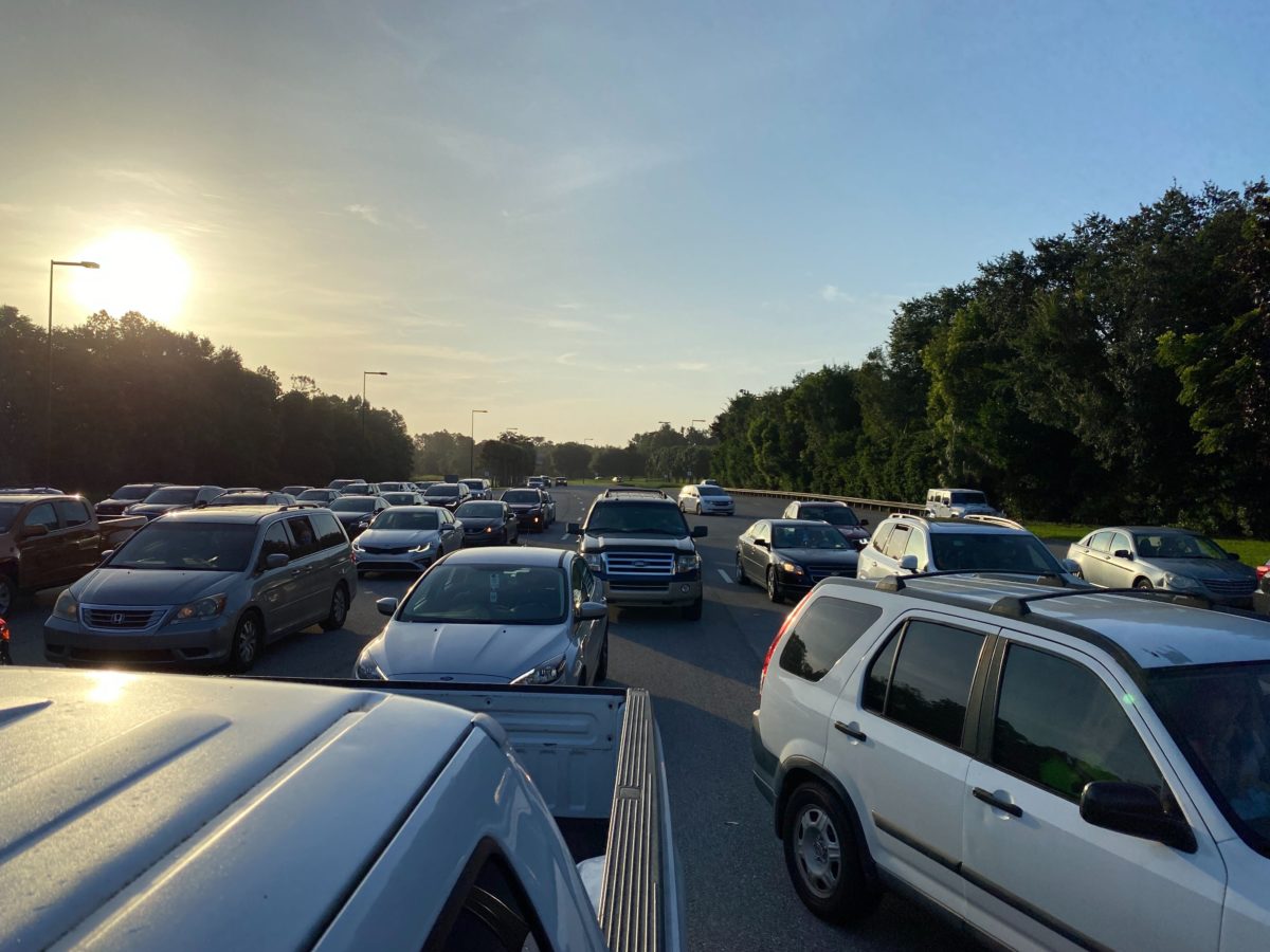 disneys animal kingdom entrance parking lot reopening annual passholder preview 4